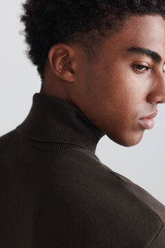 Springfield Basic-Pullover mit Rollkragen