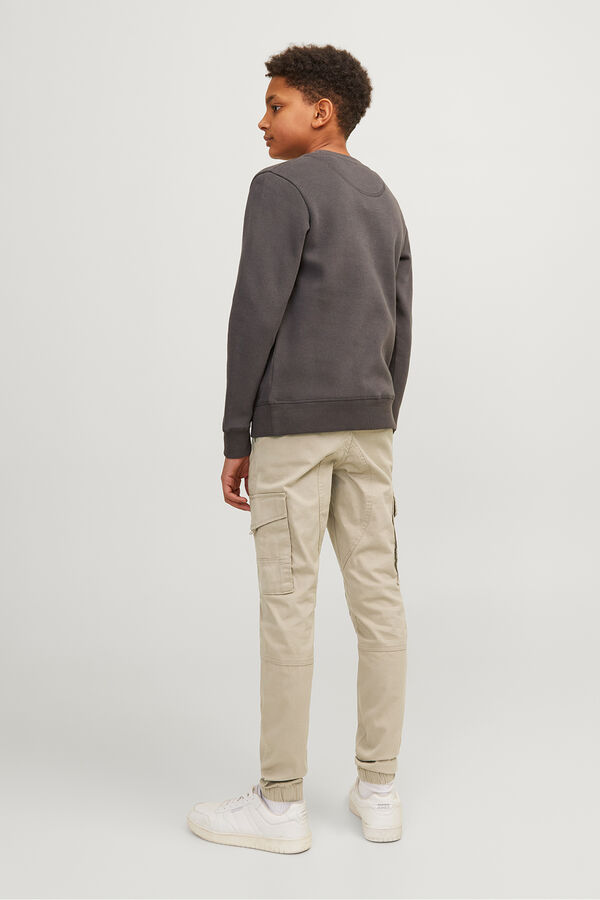 Jack & Jones Junior Pantal&oacute;n cargo slim gris