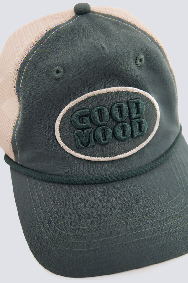 Springfield Trucker cap blue