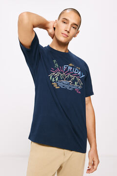 Springfield Friday T-shirt bluish