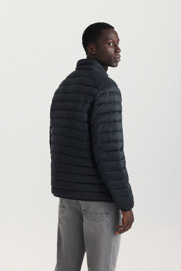 Springfield Puffer jacket black