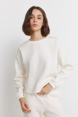 Springfield Plain sweatshirt grey