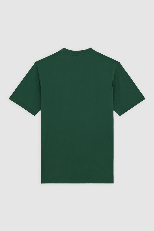 Dickies Mapleton T-shirt Zelena