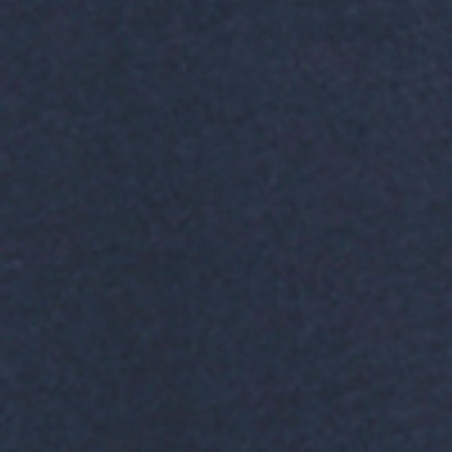 Color swatch