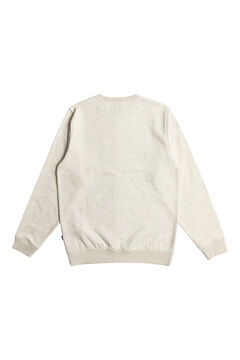 Billabong Sweatshirt para Homem