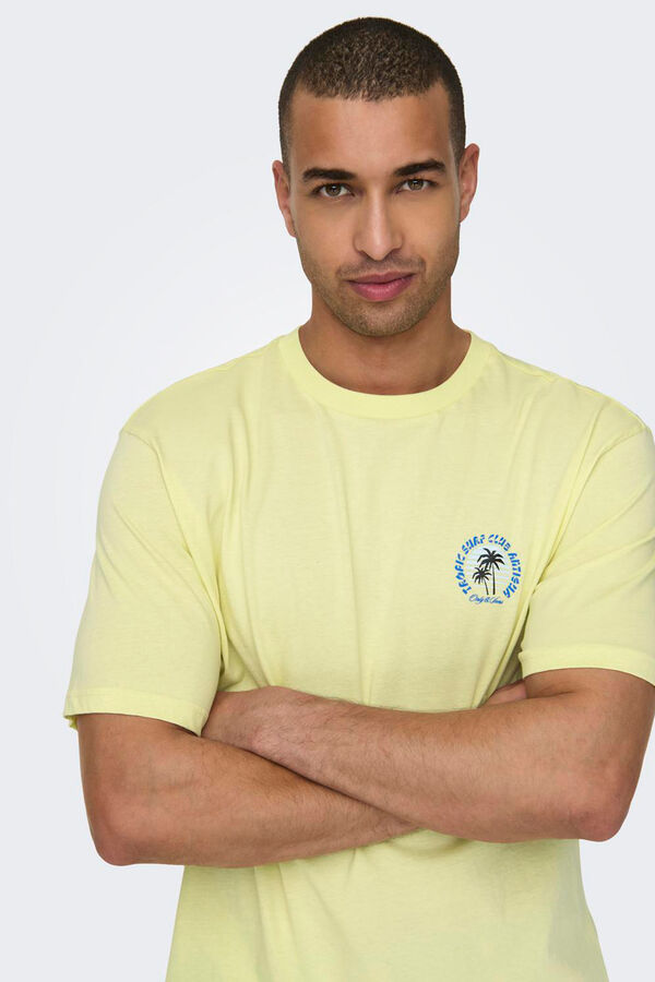 Springfield Kurzarm-Shirt color
