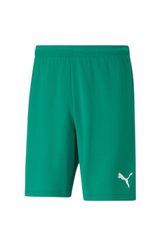 Springfield teamRISE Shorts vert