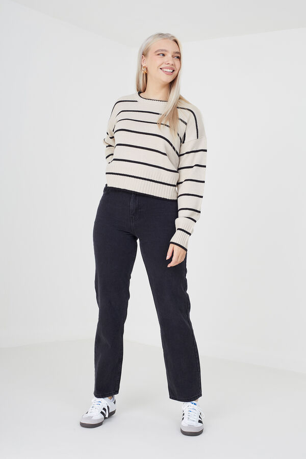 Springfield Striped jersey-knit jumper braon