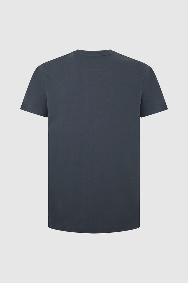 Springfield Camiseta Chay gris oscuro