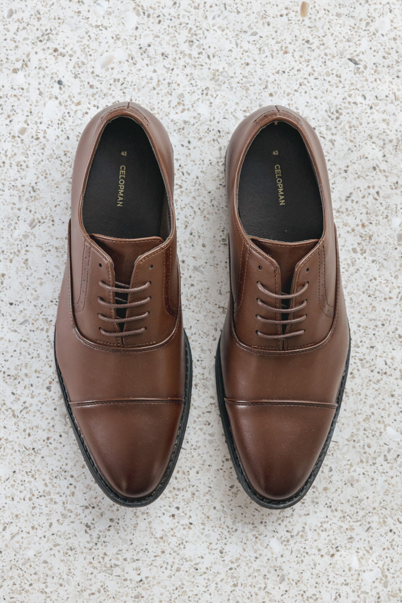 Celopman Zapatos vestir