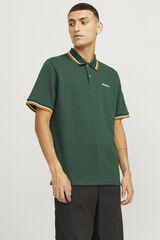Springfield Standard fit polo shirt green