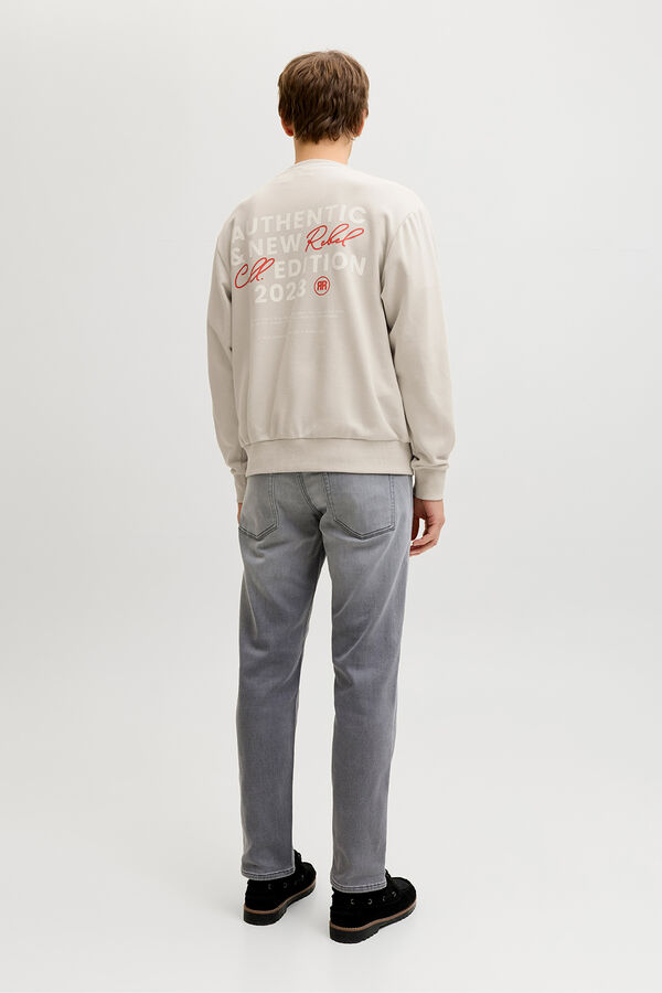 JJ REBEL Sudadera holgada backprint gris