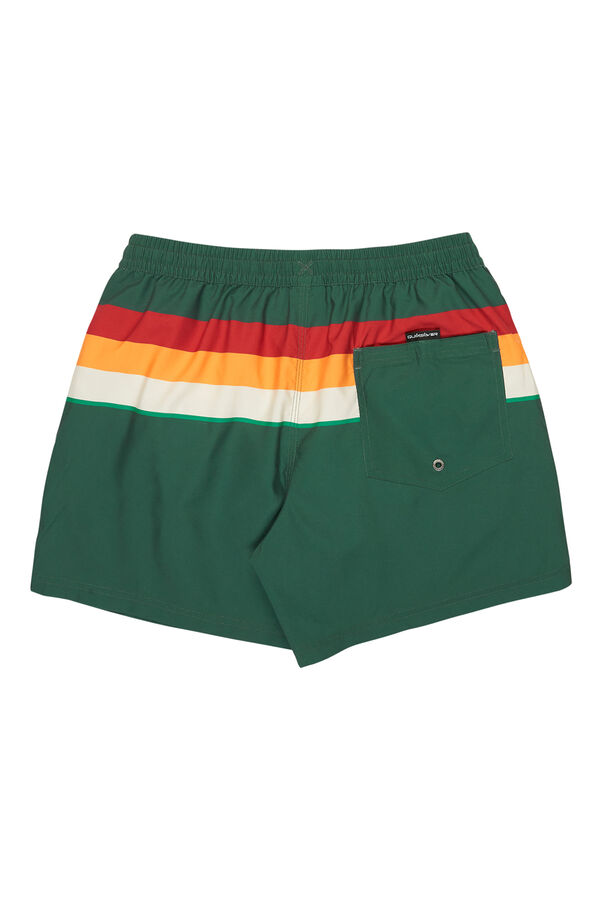 Quiksilver Logo swimwear green