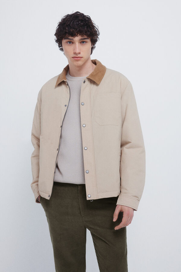 Springfield Čino chino pantalone od mikro somot Kaki