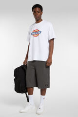 Dickies Icon Logo T-shirt white