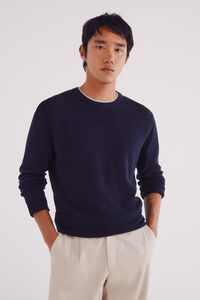 Springfield Textured jumper
