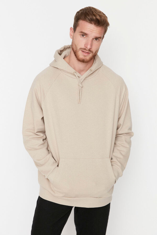 Trendyol Sudadera regular con capucha beige