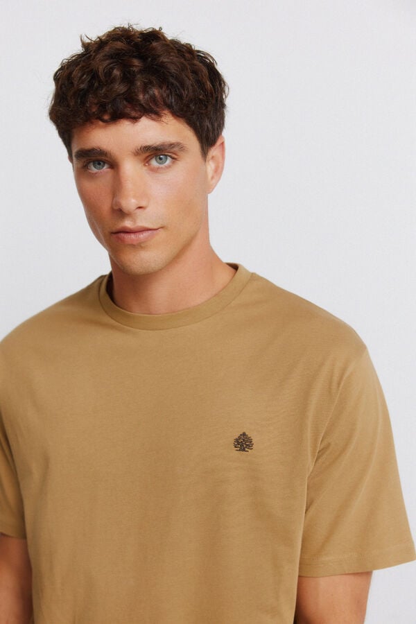 Springfield Springfield logo basic T-shirt brown