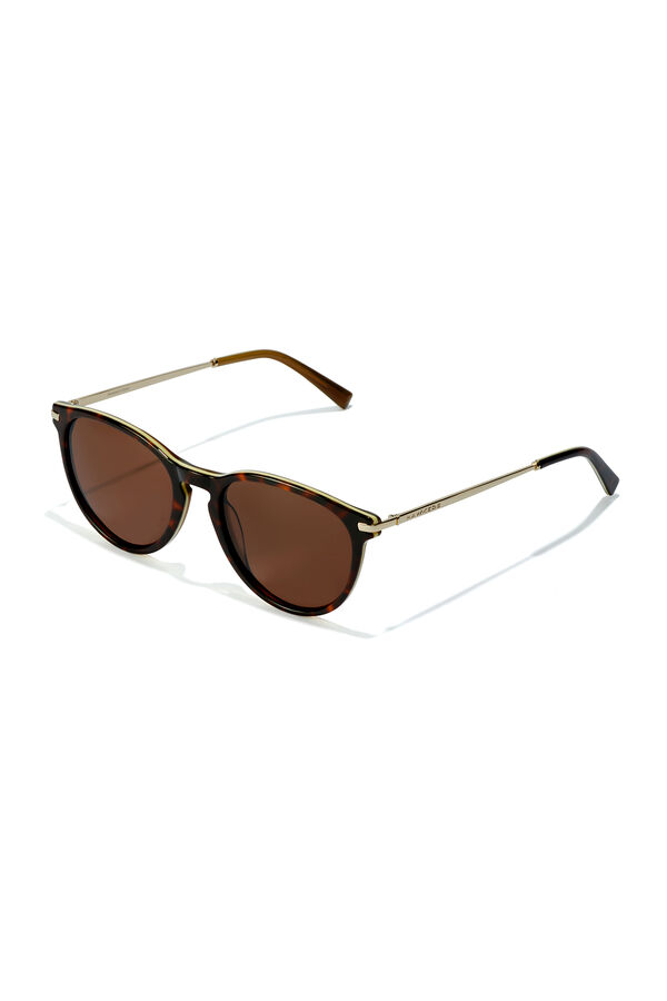 Springfield Mark sunglasses - Polarised Carey Brown smeđa