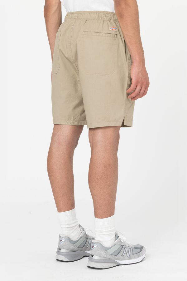 Dickies Pelican Rapids short nude