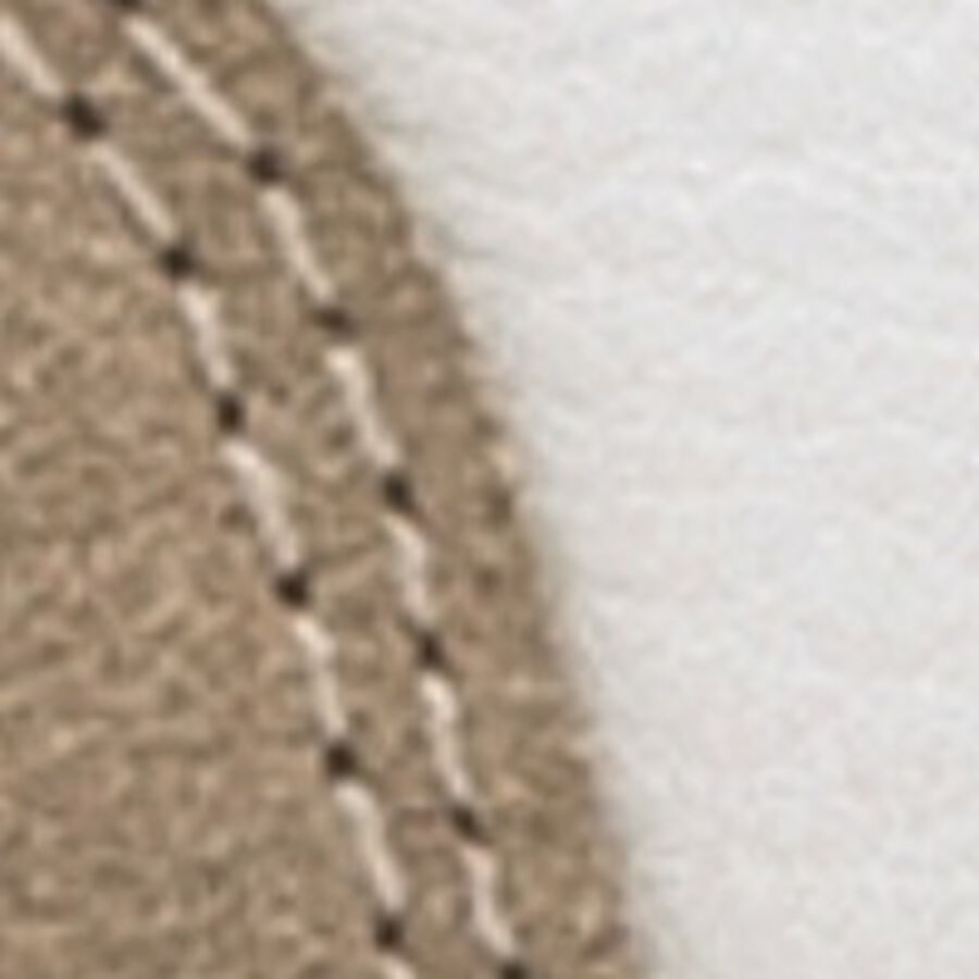 Color swatch