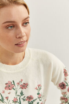 Springfield Pullover mit Botanik-Print ecru