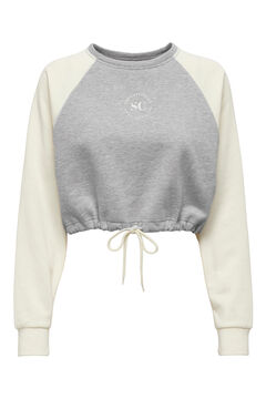 Springfield Cropped sweatshirt with mini logo grey