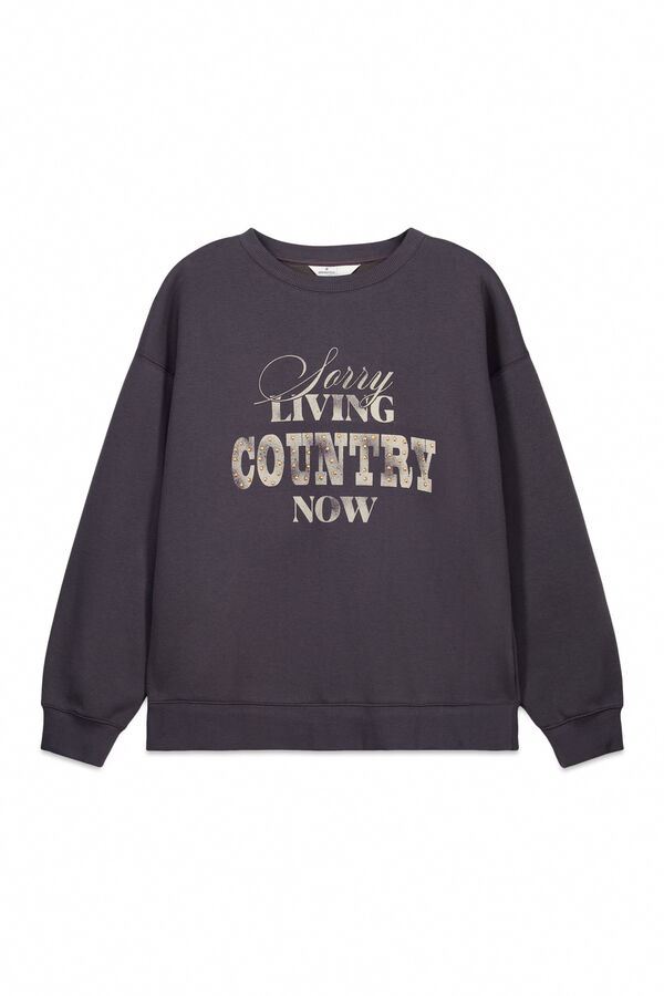 Springfield Sweatshirt "Country" cinzento