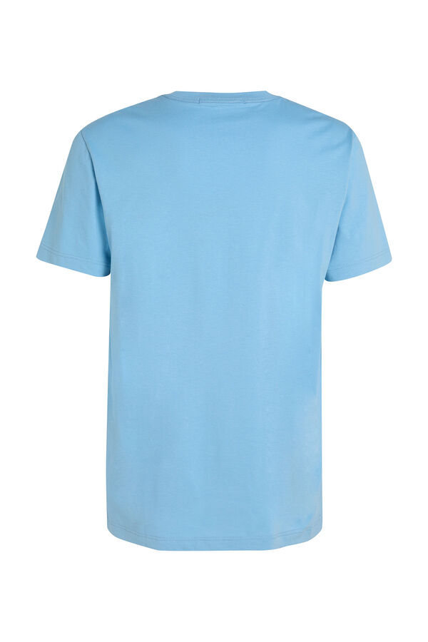 Springfield T-Shirt für Herren mit kurzen Ärmeln grau