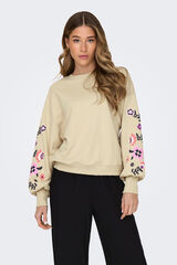 Springfield Sweatshirt with embroidered details brown