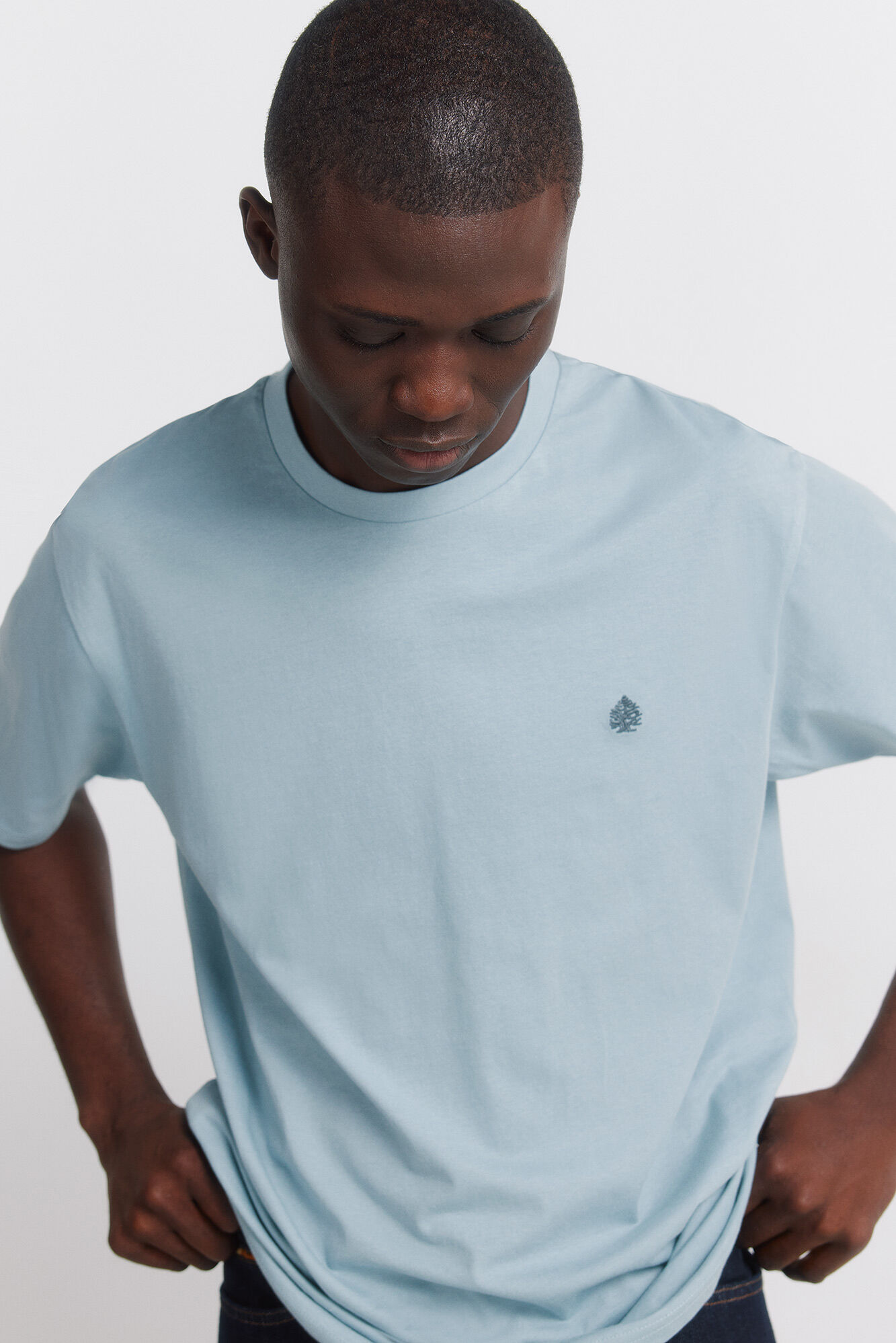 Springfield Springfield logo basic t-shirt