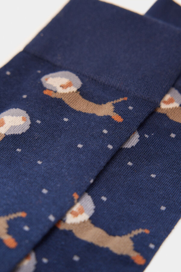 Springfield Duge svemirske čarape za pse plava