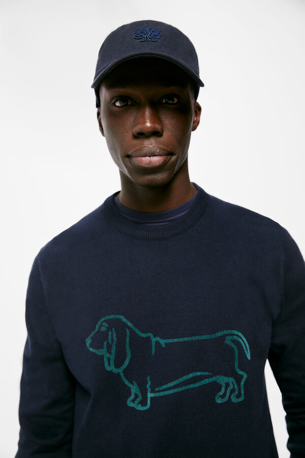Springfield Pull chien rouge