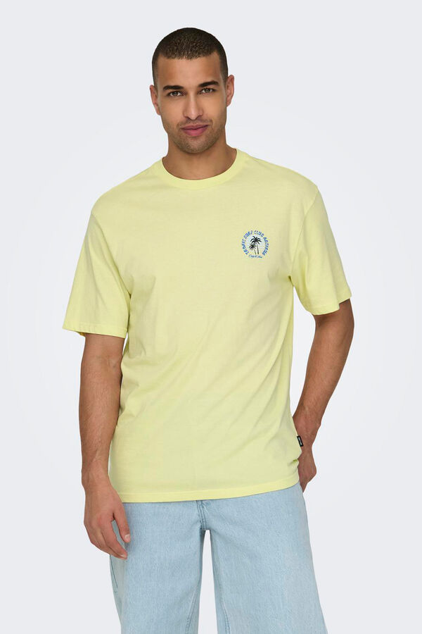 Springfield Short sleeve T-shirt color