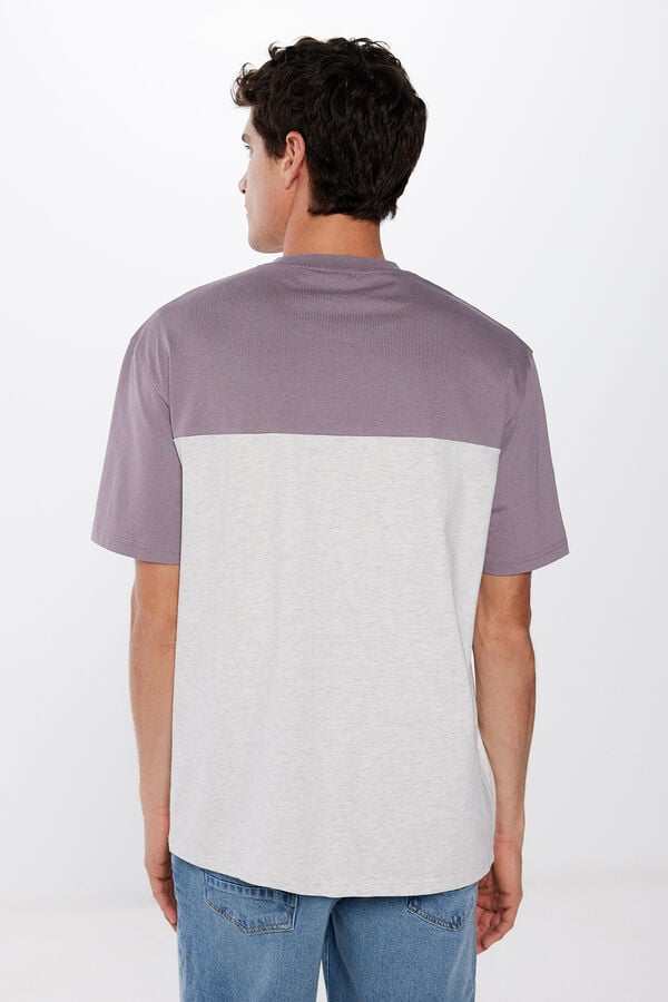 Springfield T-Shirt Farbblock grau