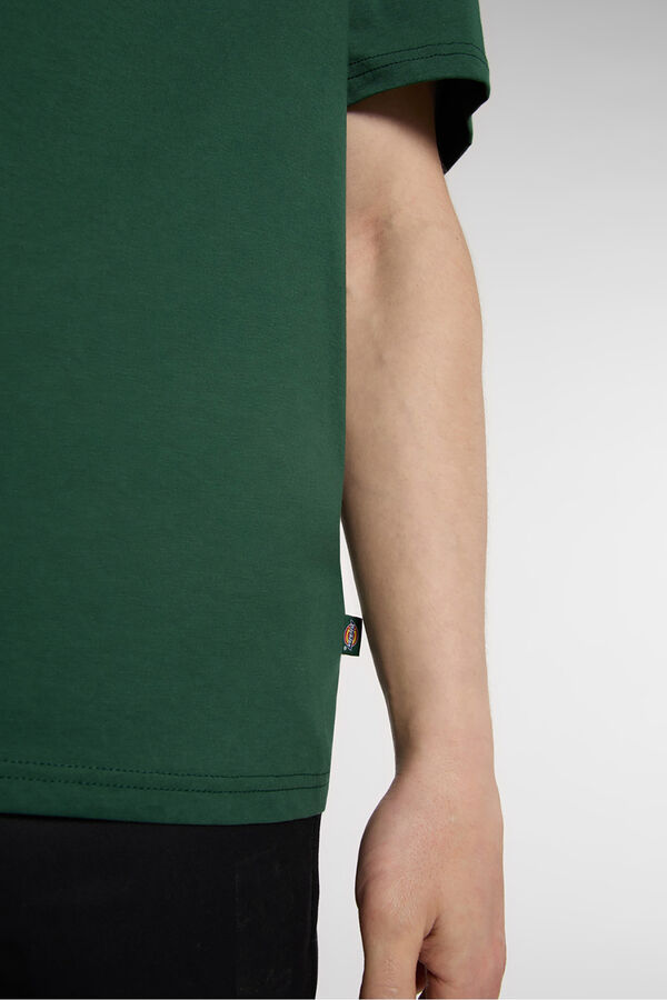 Dickies Mapleton T-shirt Zelena