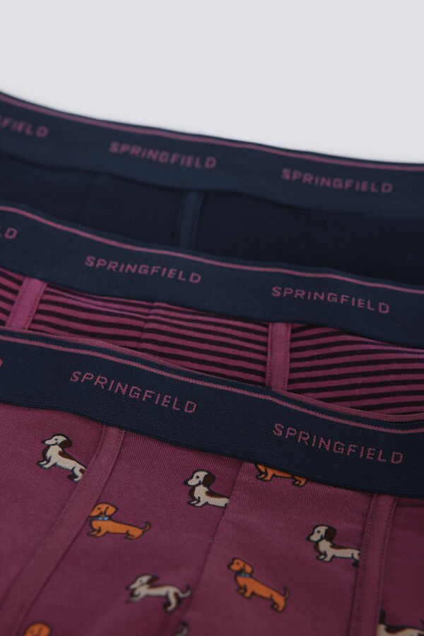 Springfield Paket od 3 boksera sa pruge Bordo