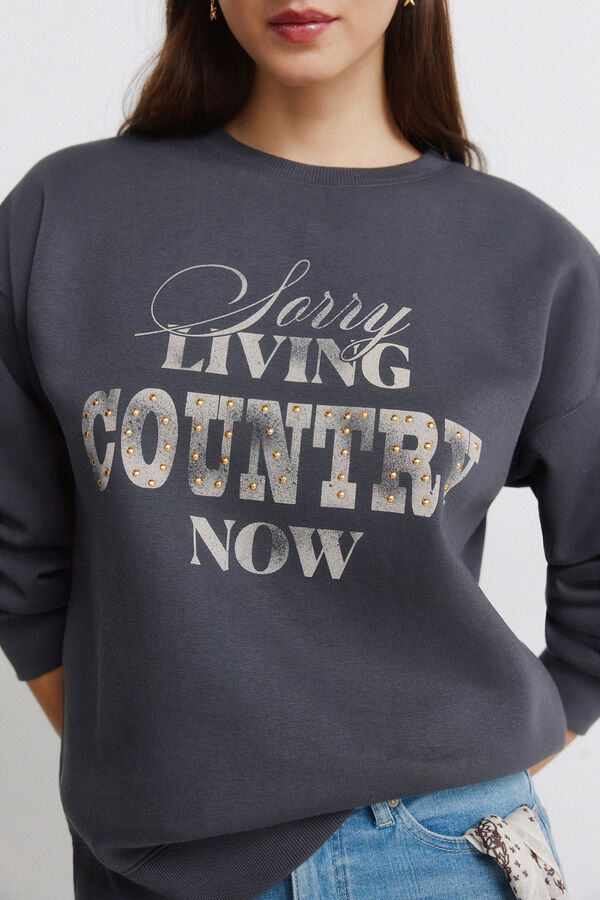 Springfield Sudadera "Country" gris