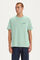 Springfield Levi's® T-shirt green water