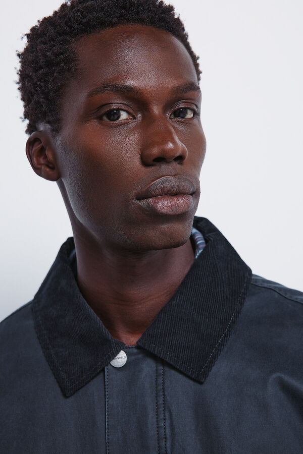 Springfield Parka curta com gola de veludo cotelê azul