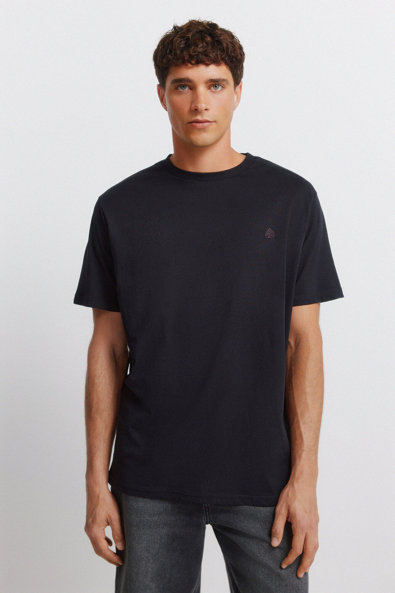 Springfield Springfield logo basic T-shirt