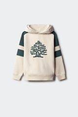 Springfield Kids Sudadera árbol con capucha estampado