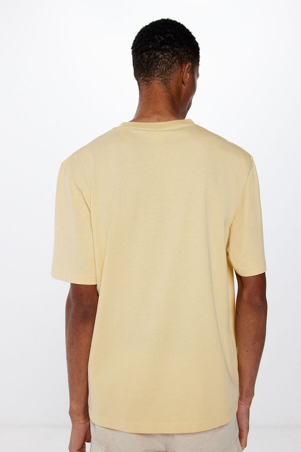 Springfield T-shirt Grand Valley couleur