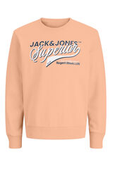 Jack & Jones Junior Sudadera logo grande naranja