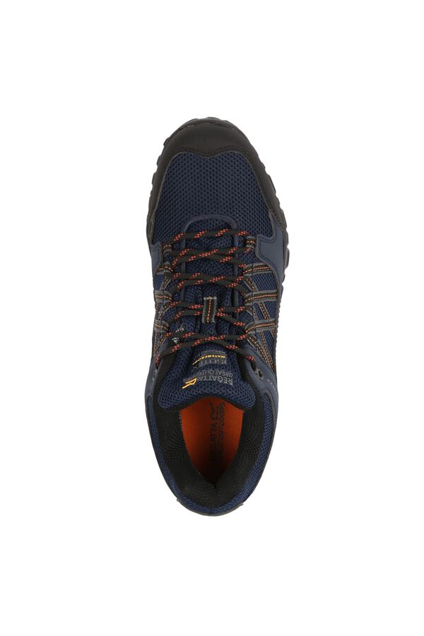 Springfield Superdry trainers blue