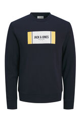Jack & Jones Sudadera regular fit azul