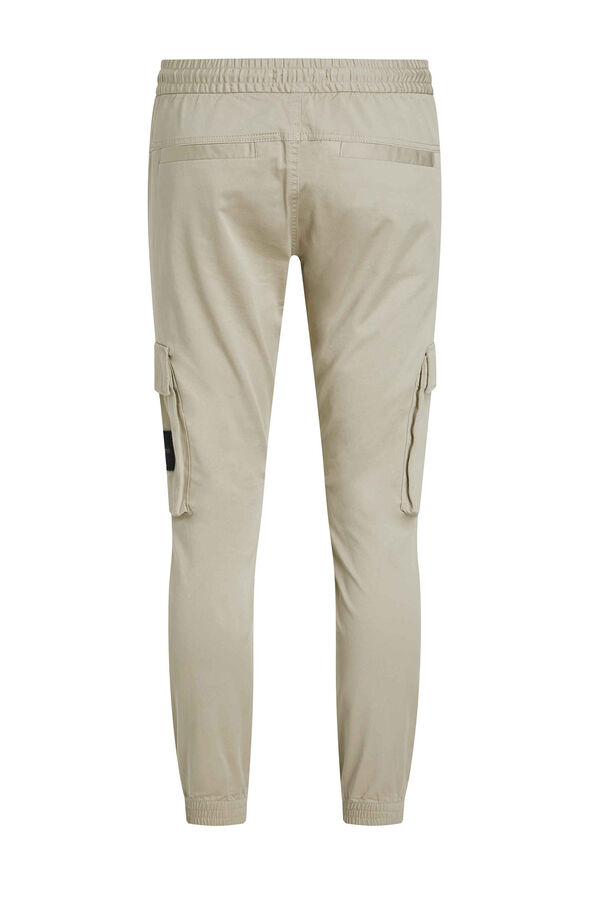 Springfield Cargo trousers  brown