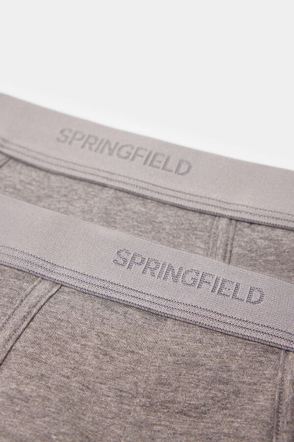 Springfield 2-pack essential briefs grey