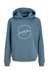 Jack & Jones Junior Sudadera con capucha felpa gris