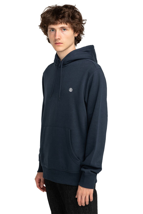 Element Sudadera con capucha gris